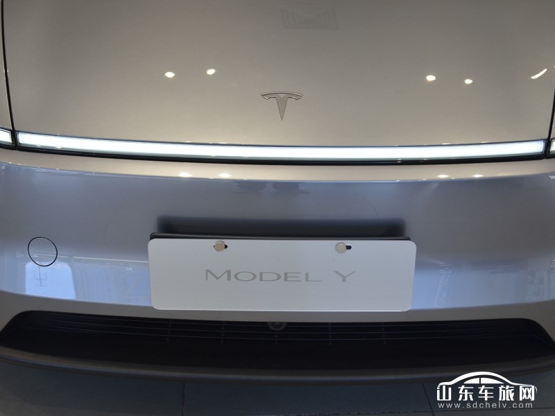 2025款 特斯拉Model Y换新版 其它
